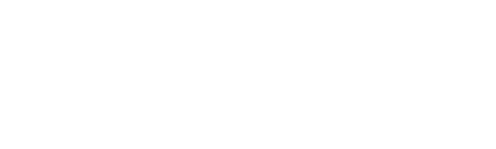 Ecommerce
